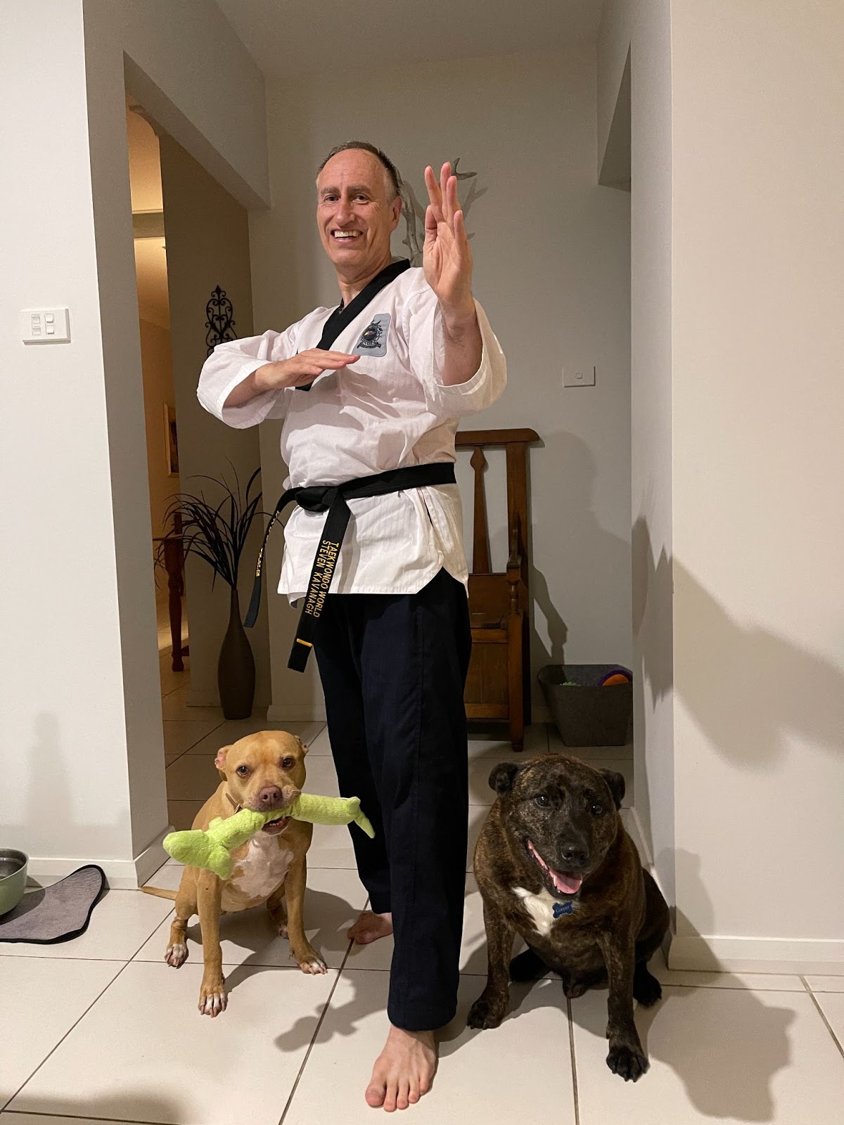 Steve Kavanagh posing with his two dogs in his taekwondo uniform