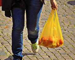 The Much Maligned Plastic Shopping Bag - I Love It