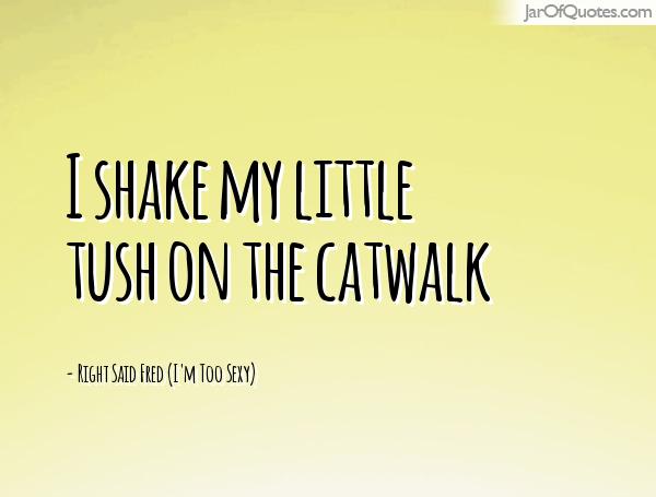 I Shake My Little Tush On The Catwalk