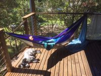 The hammock swings & the tide goes out but what really changes?